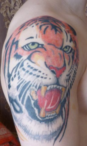 Фото и  значения татуировки Тигр. X_24a9e9d9